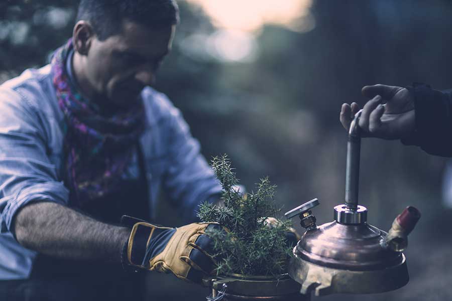 Harvesting Of Wild Herbs And Outdoor Distillations And Extractions