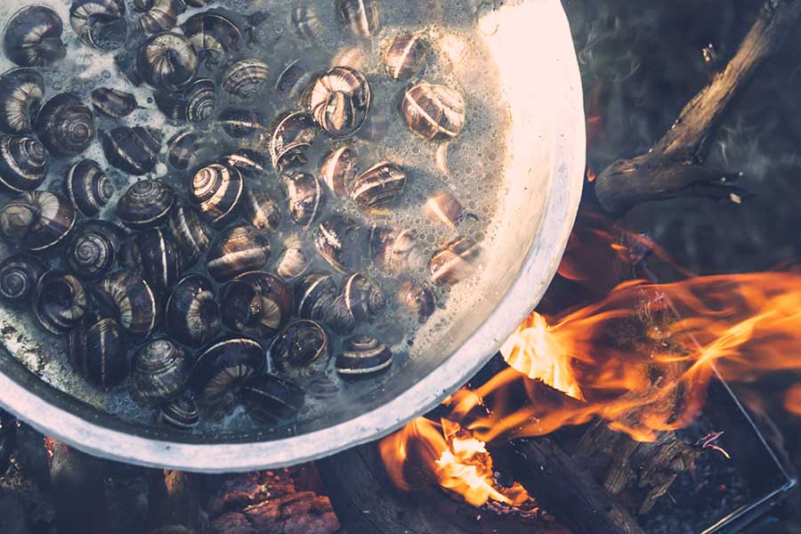 Συλλογή άγριας τροφής και μαγειρική σε υπαίθρια φωτιά